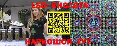 ALPHA PVP Камышлов