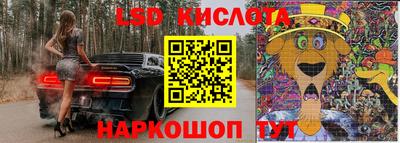 прущие крисы Кандалакша