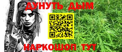 прущие крисы Кандалакша