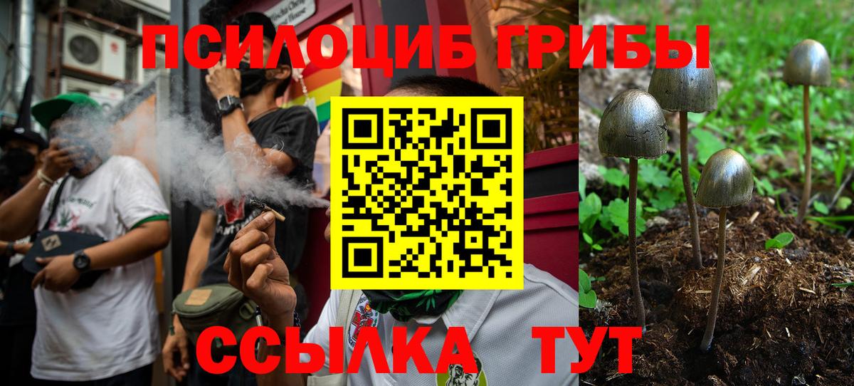 Псилоцибиновые грибы ЛСД  что такое   Холмск  Вход с VPN 